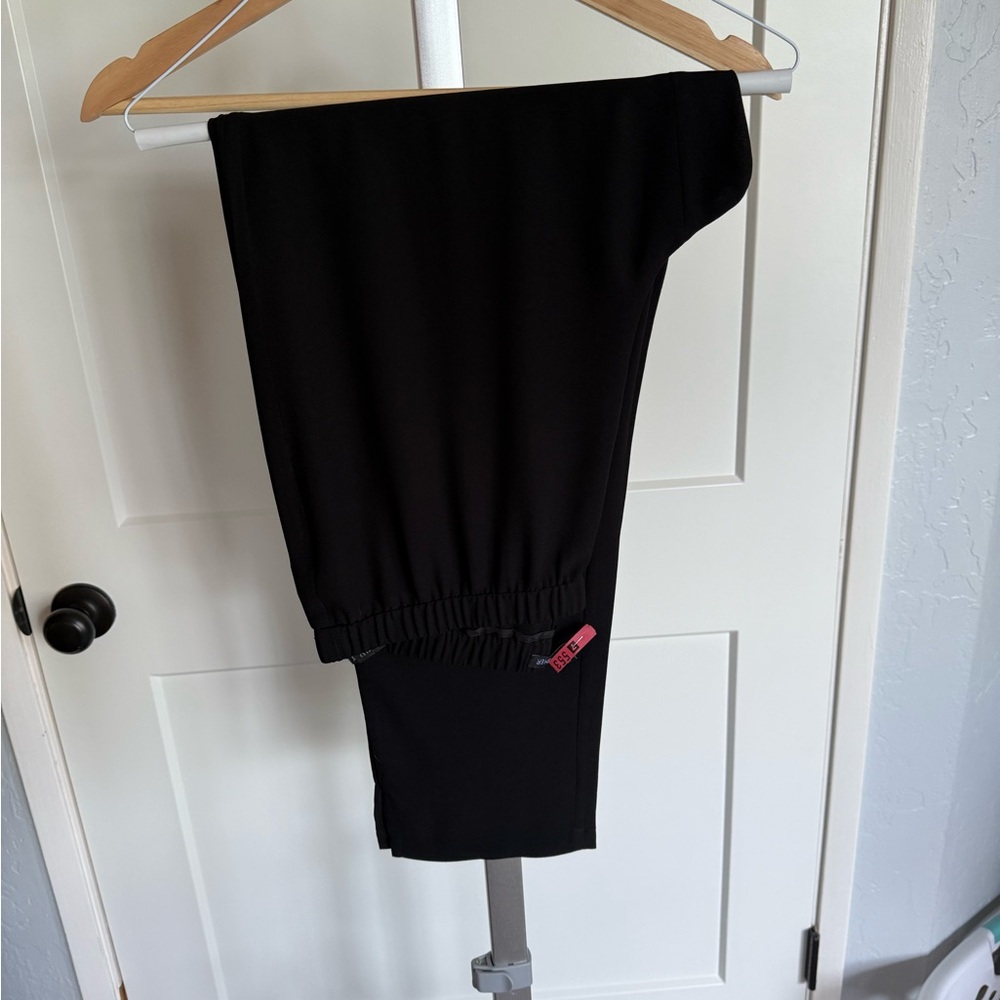 Silk Georgette Eileen fisher pants